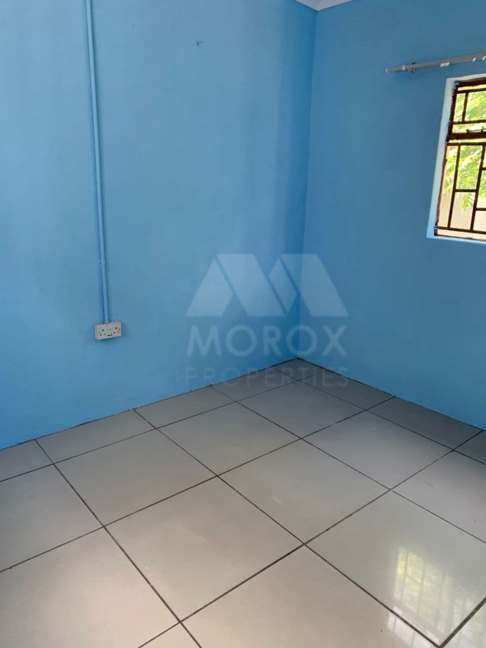 WhatsApp Image 2026-01-18 at 16.19.28.jpeg