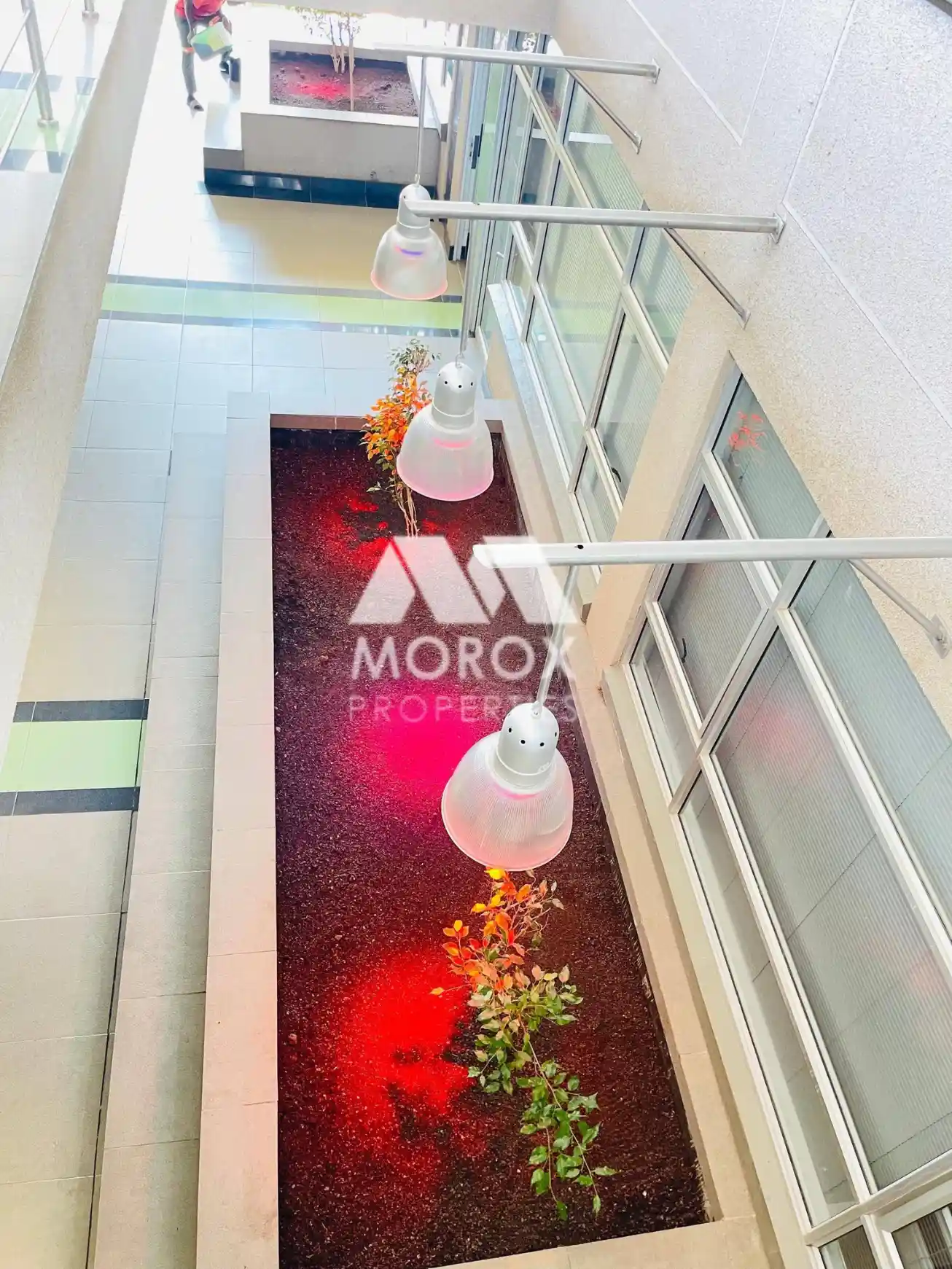 714204363_1635483581918795_8767891378096357842_n.jpg